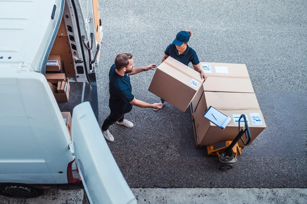 logistica
